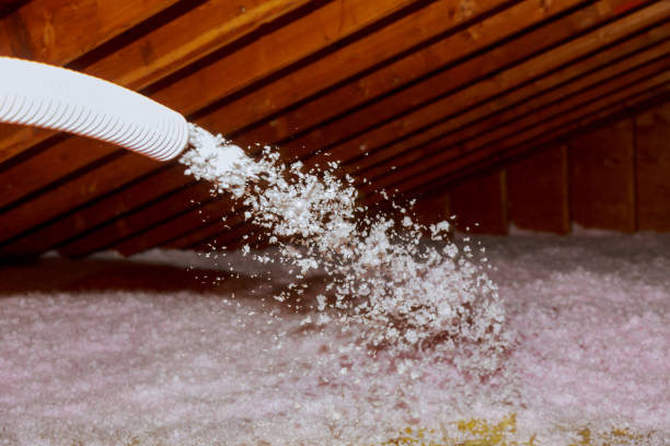 Best Cellulose Insulation  in Gulf Breeze, FL