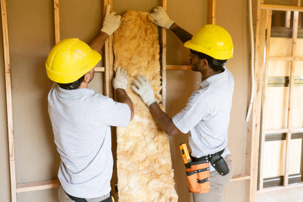 Best Professional Insulation Contractor  in Gulf Breeze, FL