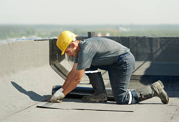 Best Attic Insulation Installation  in Gulf Breeze, FL